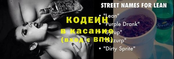 хмурый Алзамай