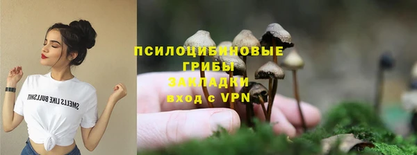 шишки Алексин