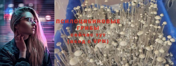 шишки Алексин
