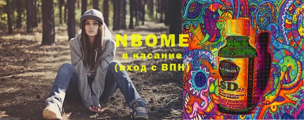 хмурый Алзамай
