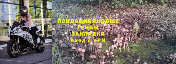 хмурый Алзамай