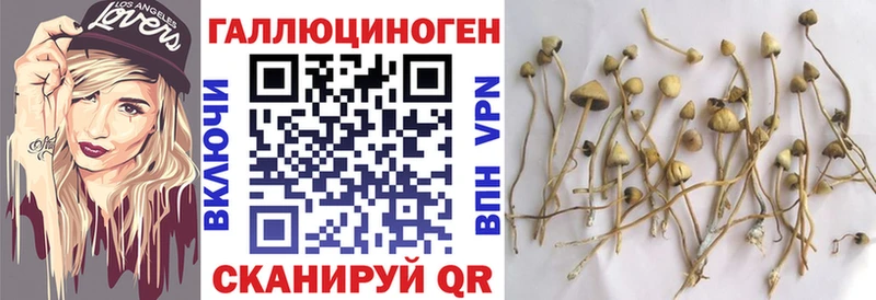 Псилоцибиновые грибы Magic Shrooms  Чапаевск 