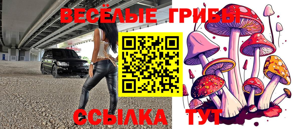 Галлюциногенные грибы мицелий Чапаевск