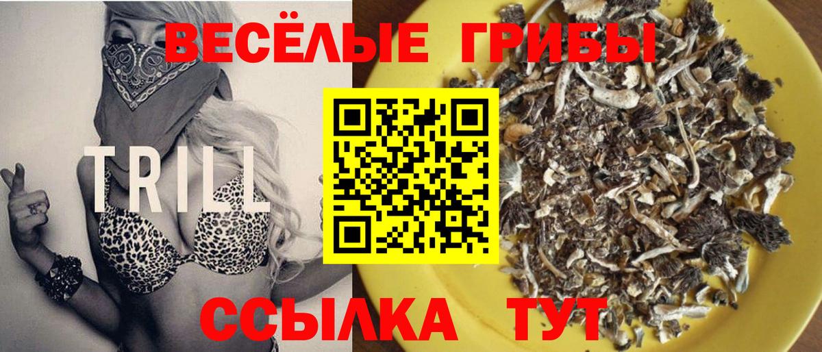 Чапаевск  Галлюциногенные грибы мухоморы  Вход с VPN 